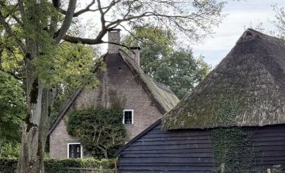 Boomveiligheidscontroleur